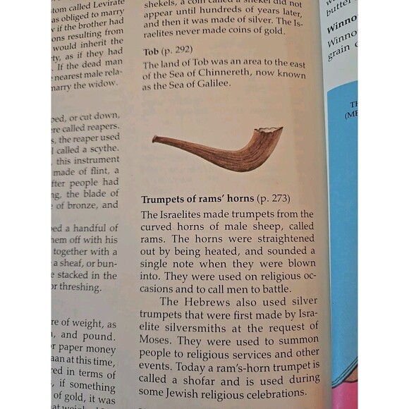 The Children’s Bible Volume 5 Golden Book Publishers World's Greatest Stories - Picture 7 of 10